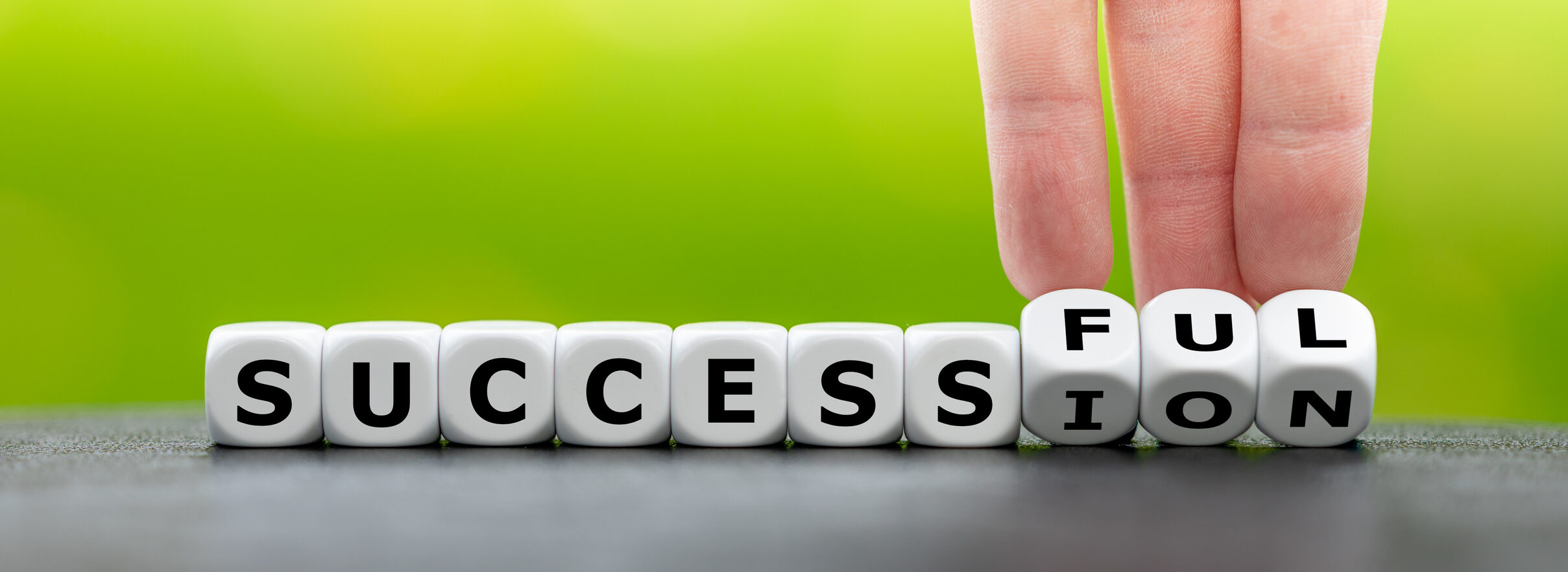 What Steps Should Be Taken for Successful Business Succession Planning in Tampa Bay?